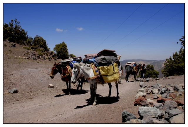 toubkal 62 kim.jpg